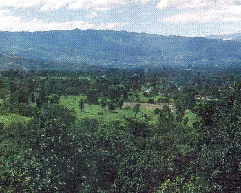 Macroproyecto Pienta